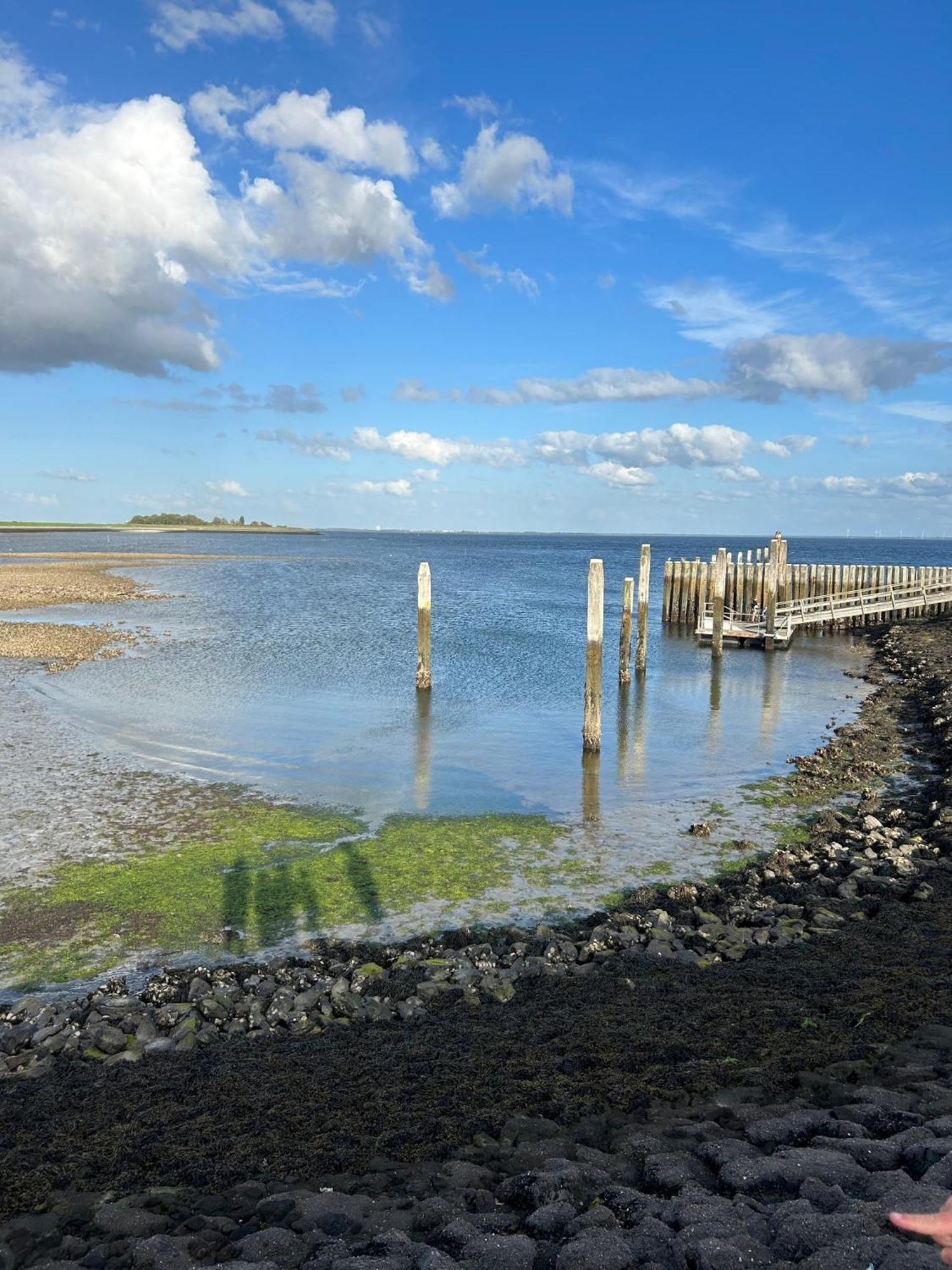 Oosterschelde Lodge Met Veel Privacy En Dicht Bij Het Water Scherpenisse Exterior foto