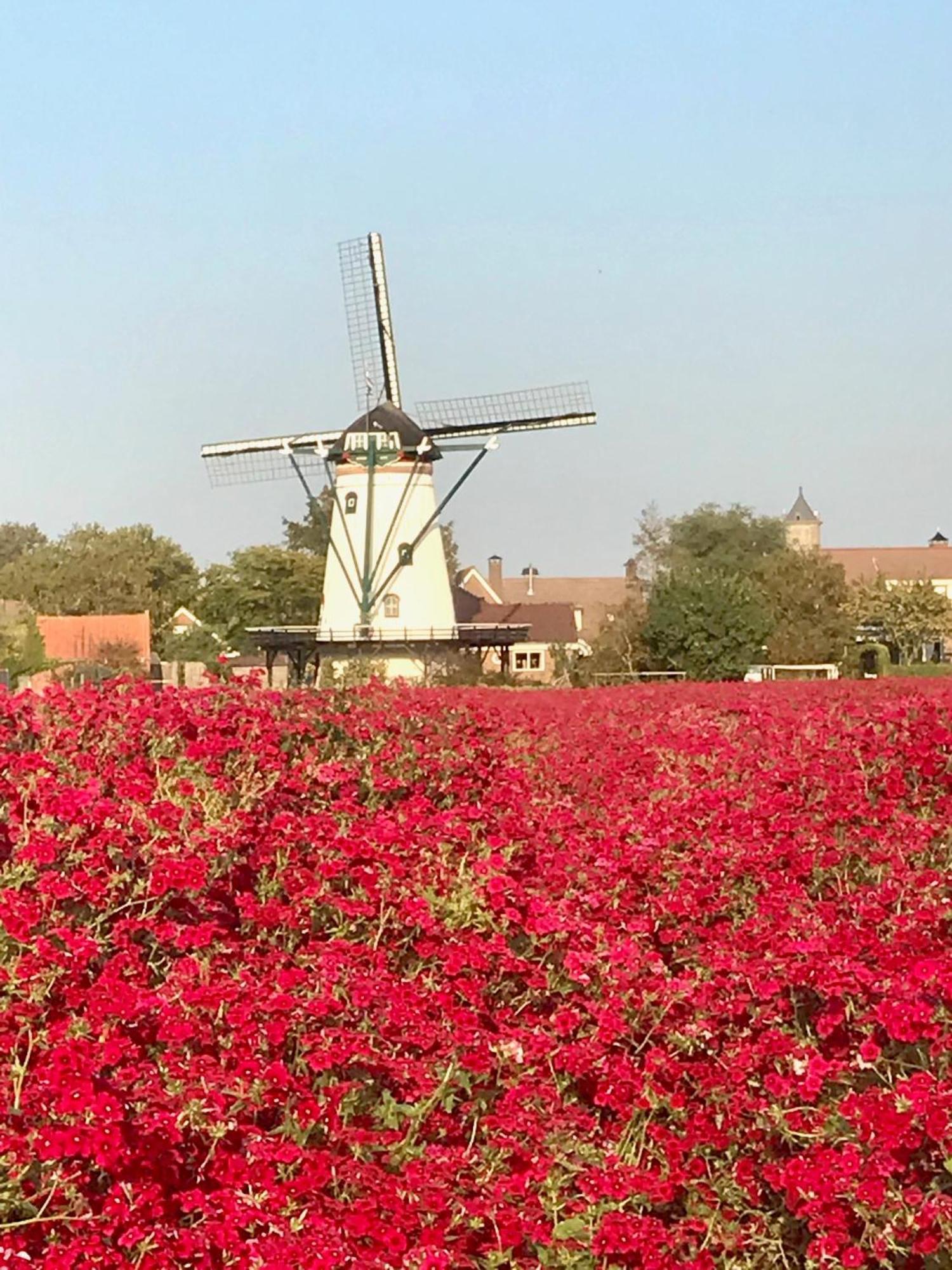 Oosterschelde Lodge Met Veel Privacy En Dicht Bij Het Water Scherpenisse Exterior foto